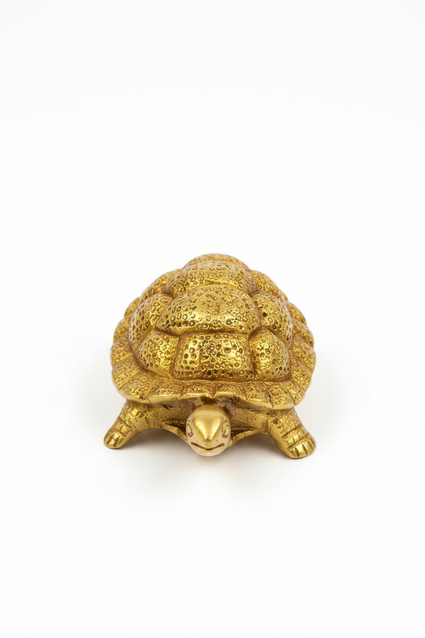 Kurma in Brass (I)-Small - ManiMonk