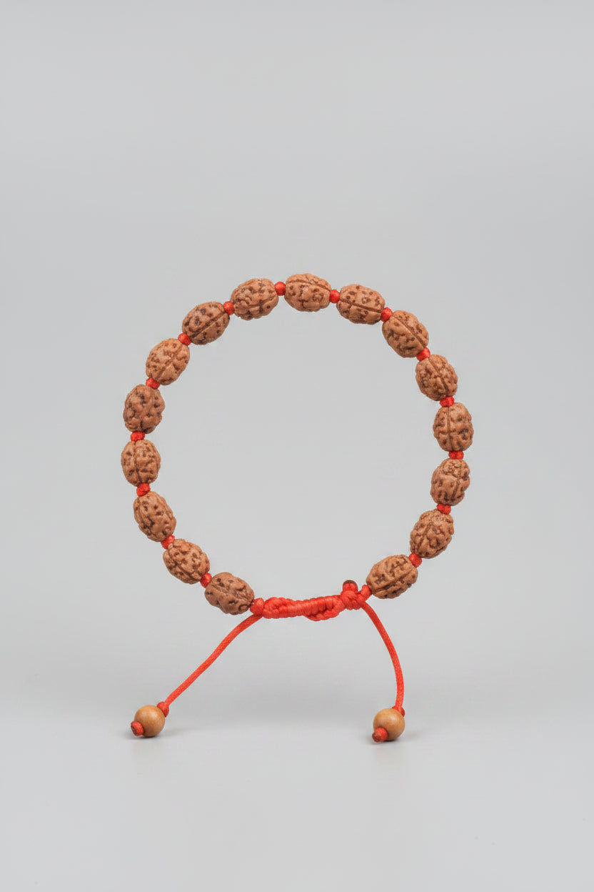  Mani Monk Adjustable Original 2 Mukhi Rudraksha Bracelet
