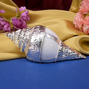 Vamavarti Shankh in 925 Sterling Silver Encasing-296 gms