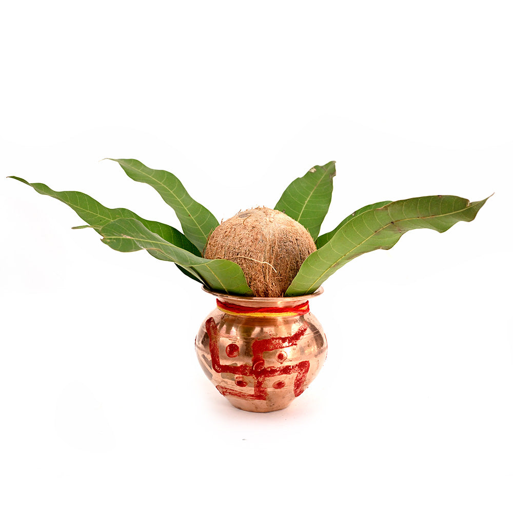 4 Eyed Coconut (4 Mukhi Nariyal)-213 gms