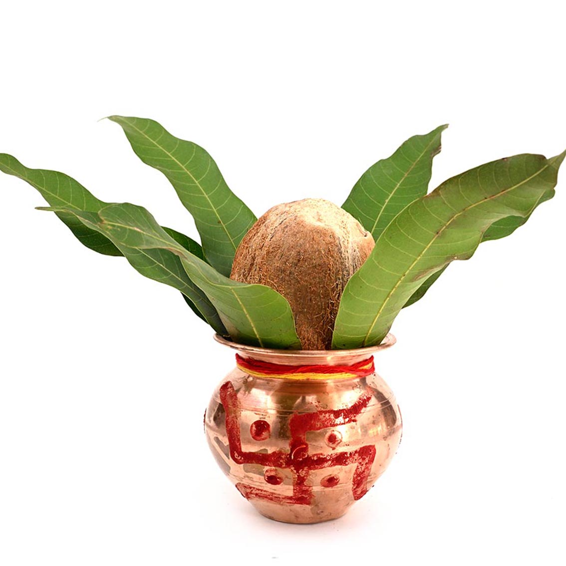 4 Eyed Coconut (4 Mukhi Nariyal)-180 gms