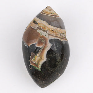 Heera Shankh - 124 gms