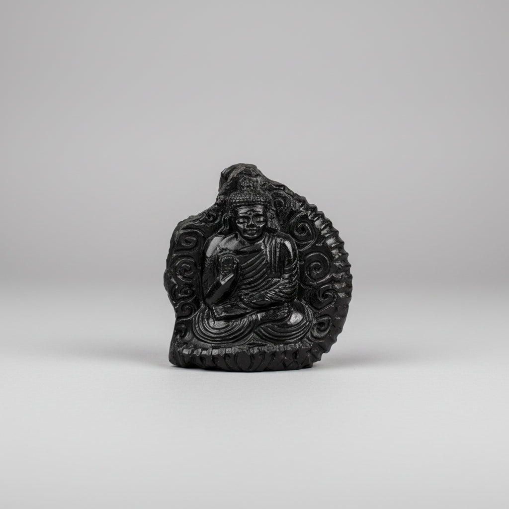 Lord Buddha Shaligram Murti II