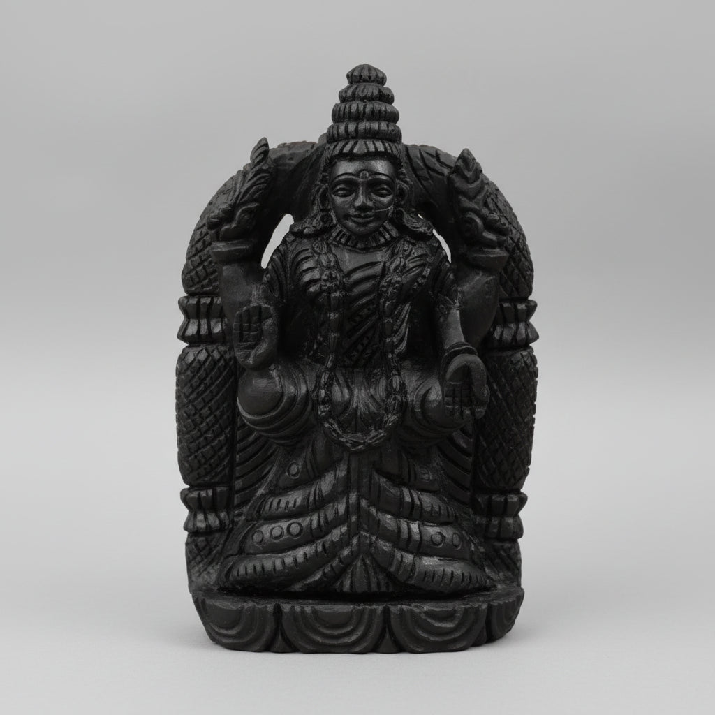 Padmavati Shaligram Murti