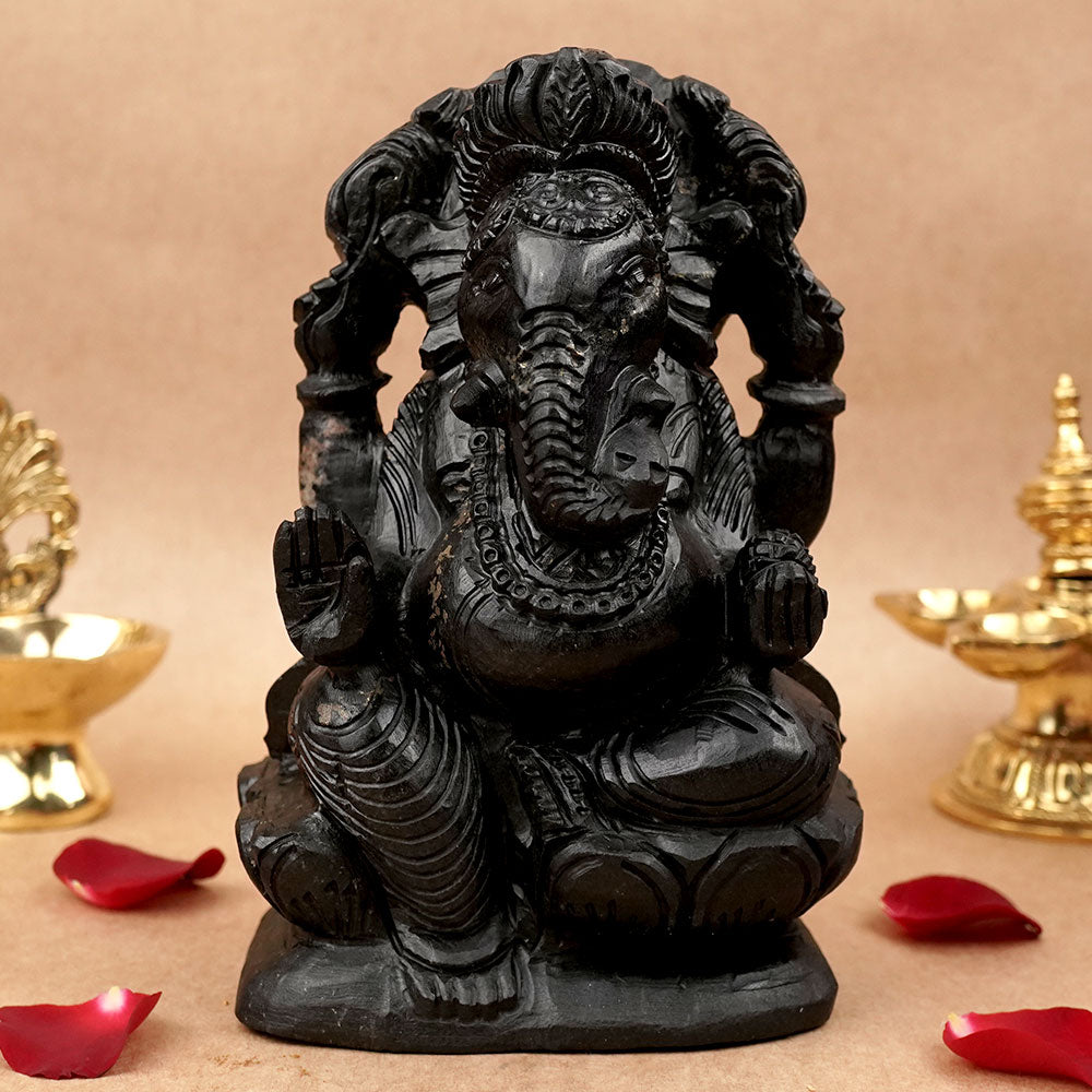 Ganesha Shaligram Murti - 2.1 Kgs