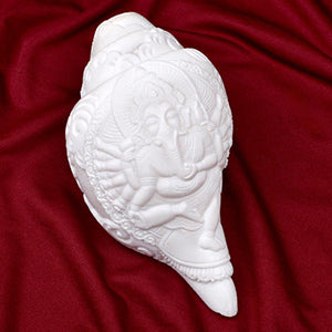 Lord Ganesh Carving Natural Shankh