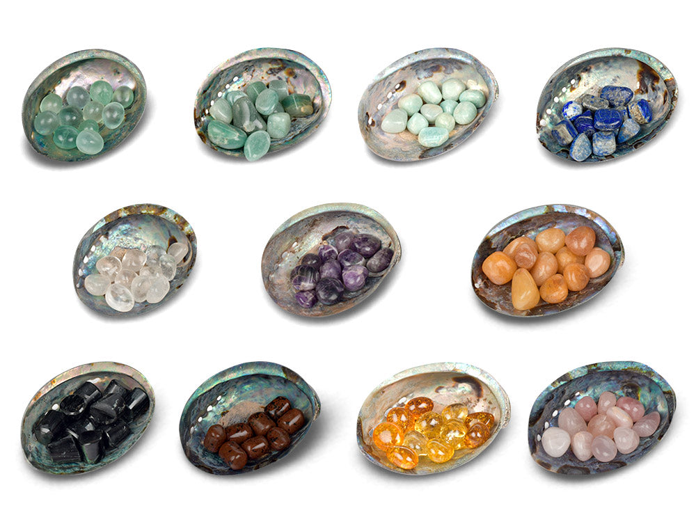 8 Directions Tumble Stone in Paua Shell-With Plate-Set of 8 (All Directions)