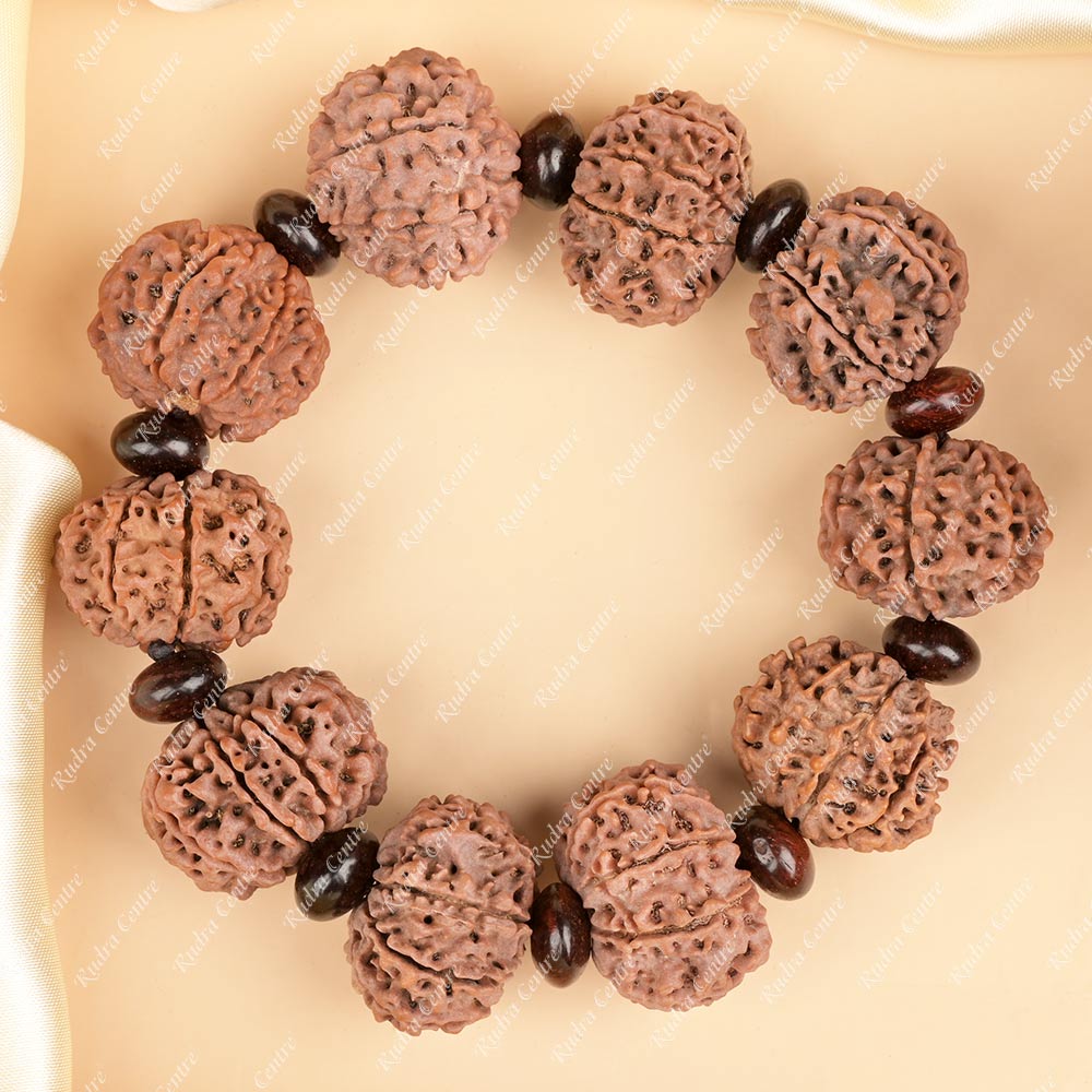 9 Mukhi Nepali Rudraksha x Red Sandalwood Bracelet