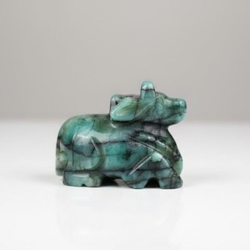 Nandi Idols
