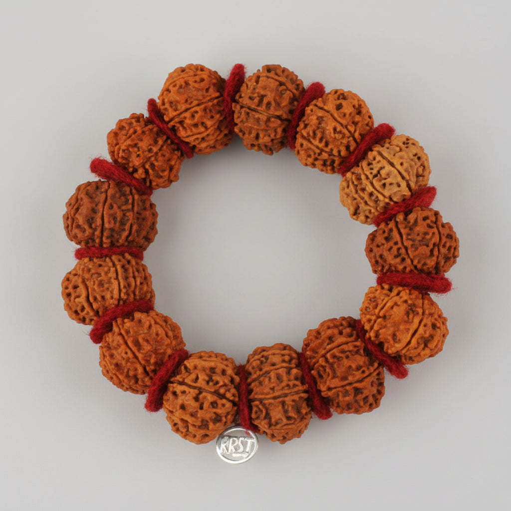 13 Mukhi Kamdev Bracelet-Regular-Silver Chakri