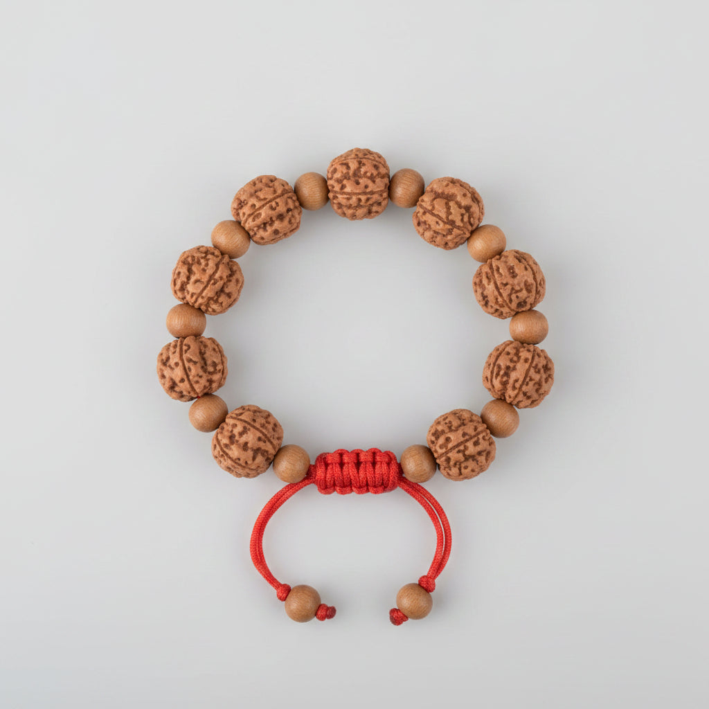 Premium 5 Mukhi Rudraksha x Sandalwood Adjustable Bracelet-12 mm
