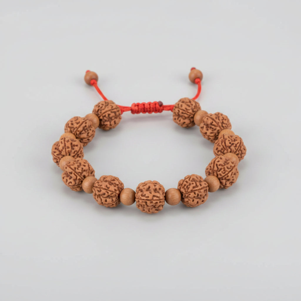 Premium 5 Mukhi Rudraksha x Sandalwood Adjustable Bracelet-8 mm