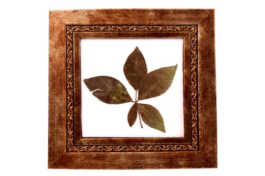 Rare Pancha Dal Bel Patra-Design IX