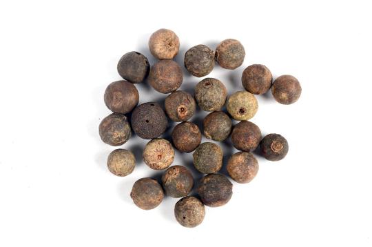 Rudraksha Fruits-Set of 51 (Fresh Fruits)
