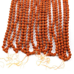 Rudraksha Mala Set Of 9 (10 mm)-With Knots