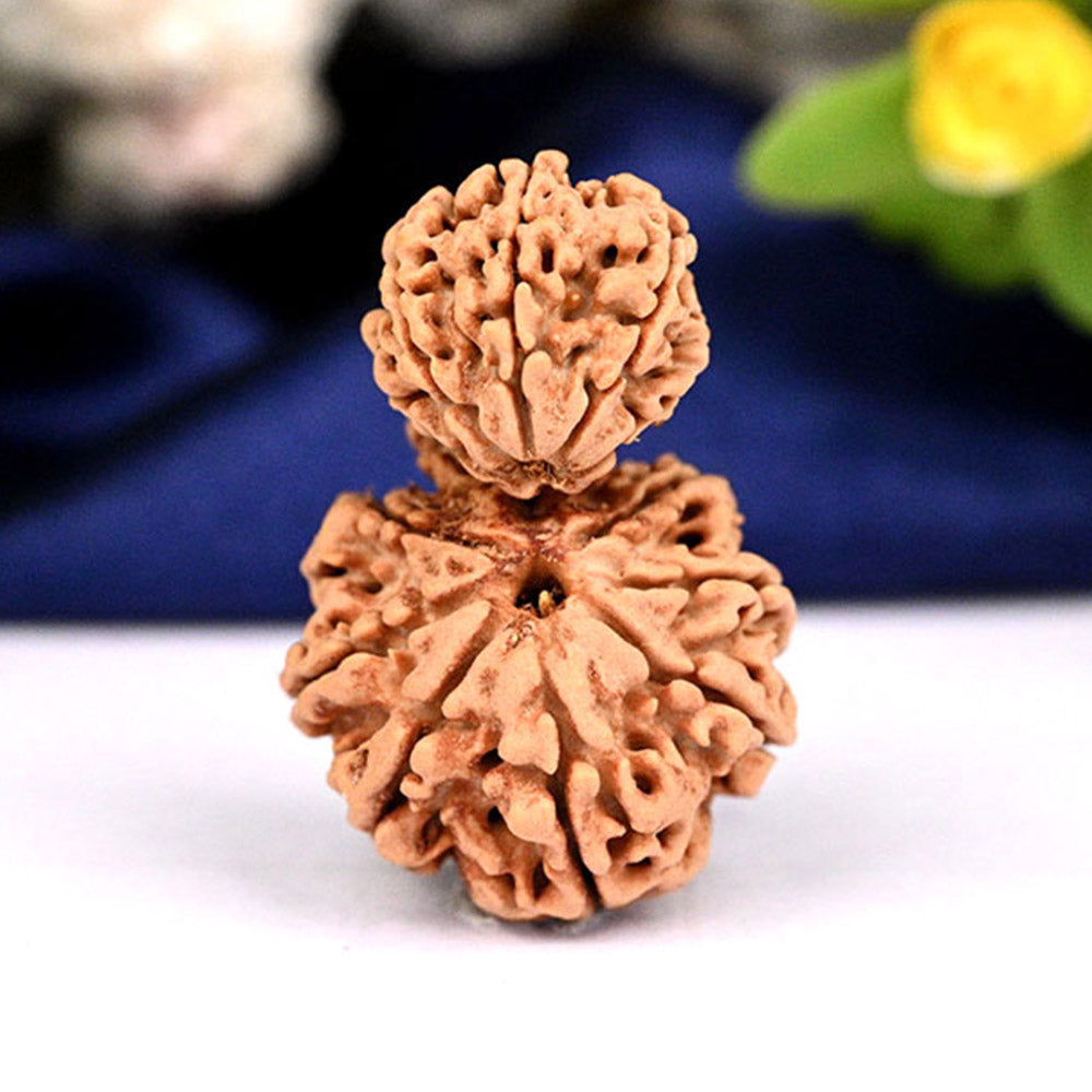 Garbh Gauri from Nepal