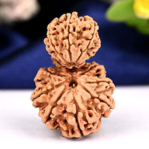 Garbh Gauri from Nepal