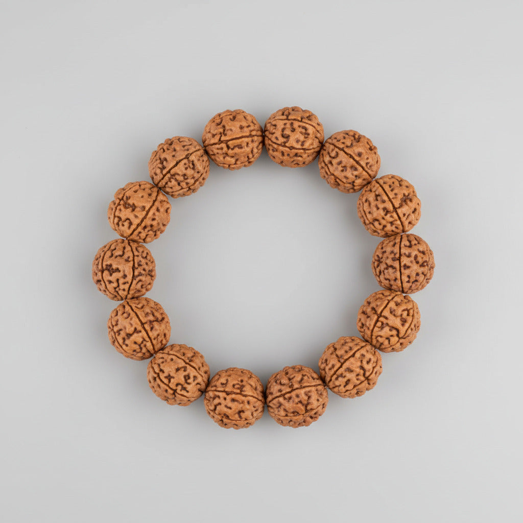 3 Mukhi Nepali Rudraksha Bracelet-Large