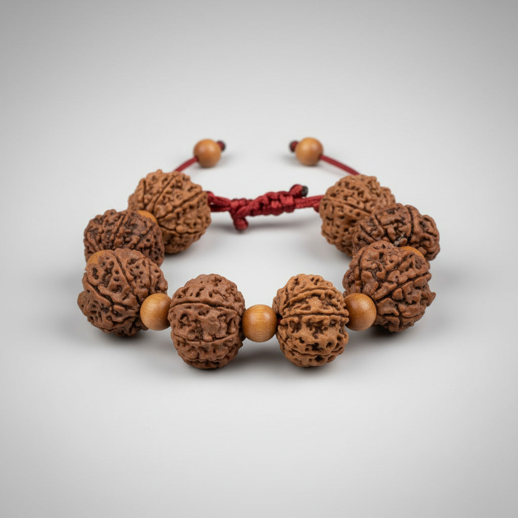 8 Mukhi Nepali Rudraksha x White Sandal Adjustable Bracelet