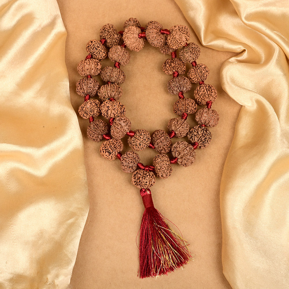 10 Mukhi Nepali Rudraksha Kantha Mala