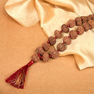 10 Mukhi Nepali Rudraksha Kantha Mala