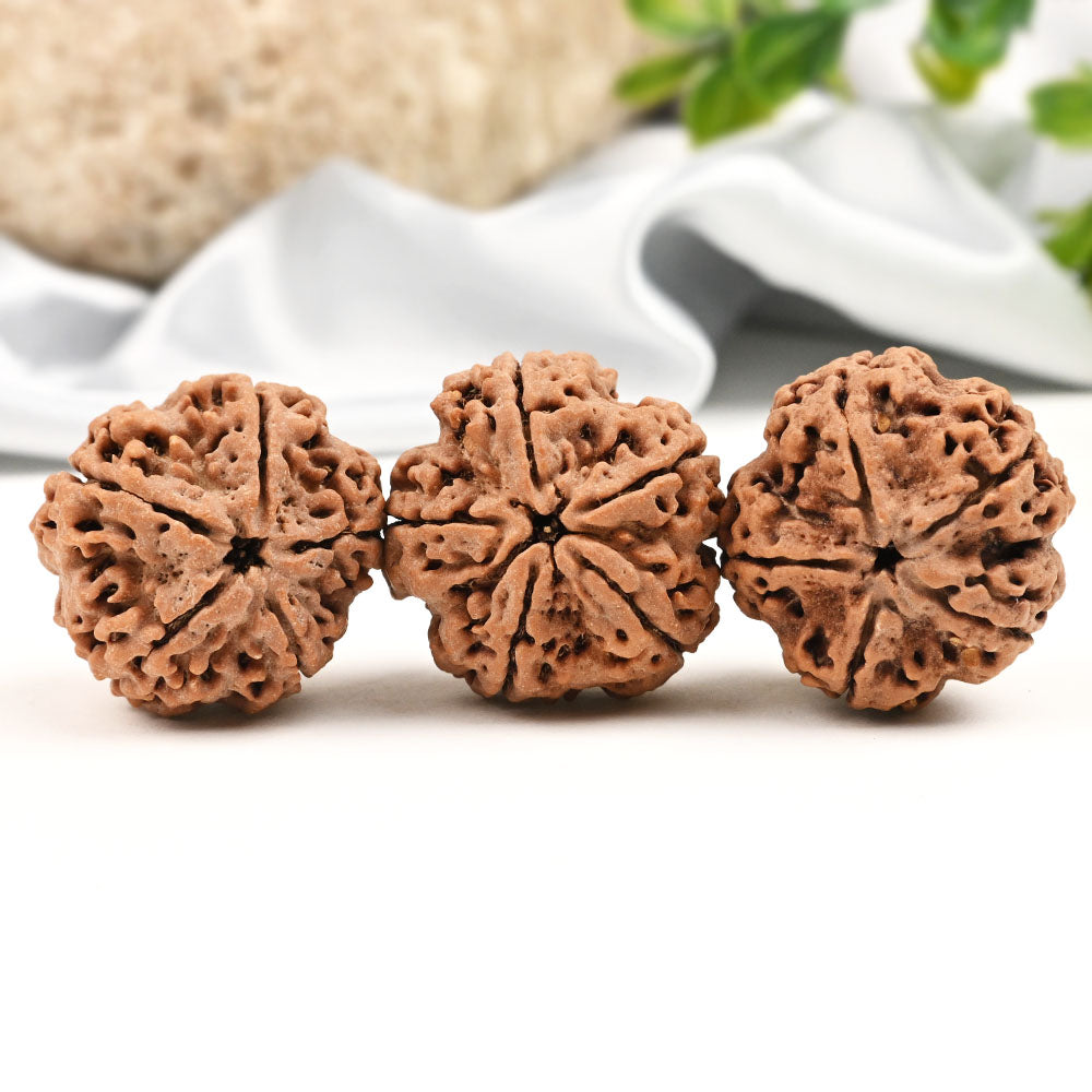 Rudraksha Water Therapy Beads
