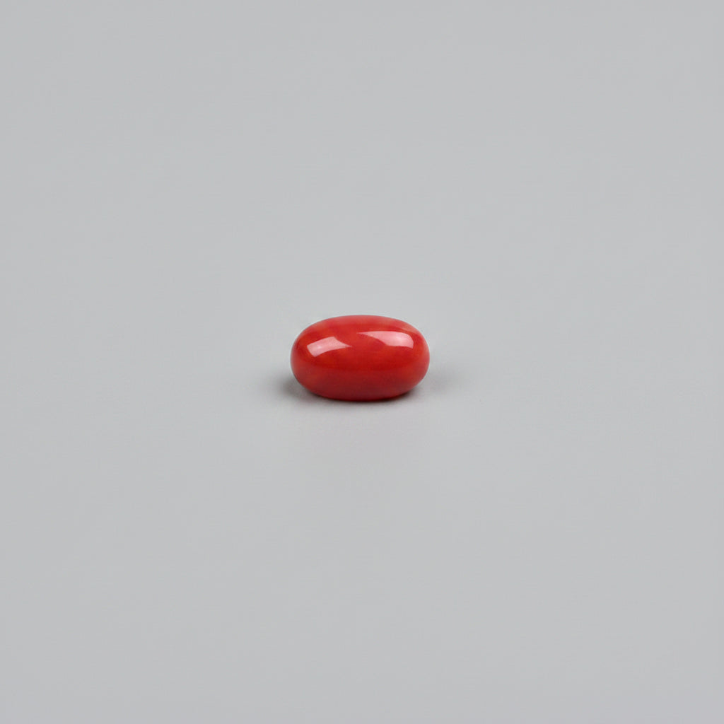 Red Coral (Japan) - 5 Carat Approx