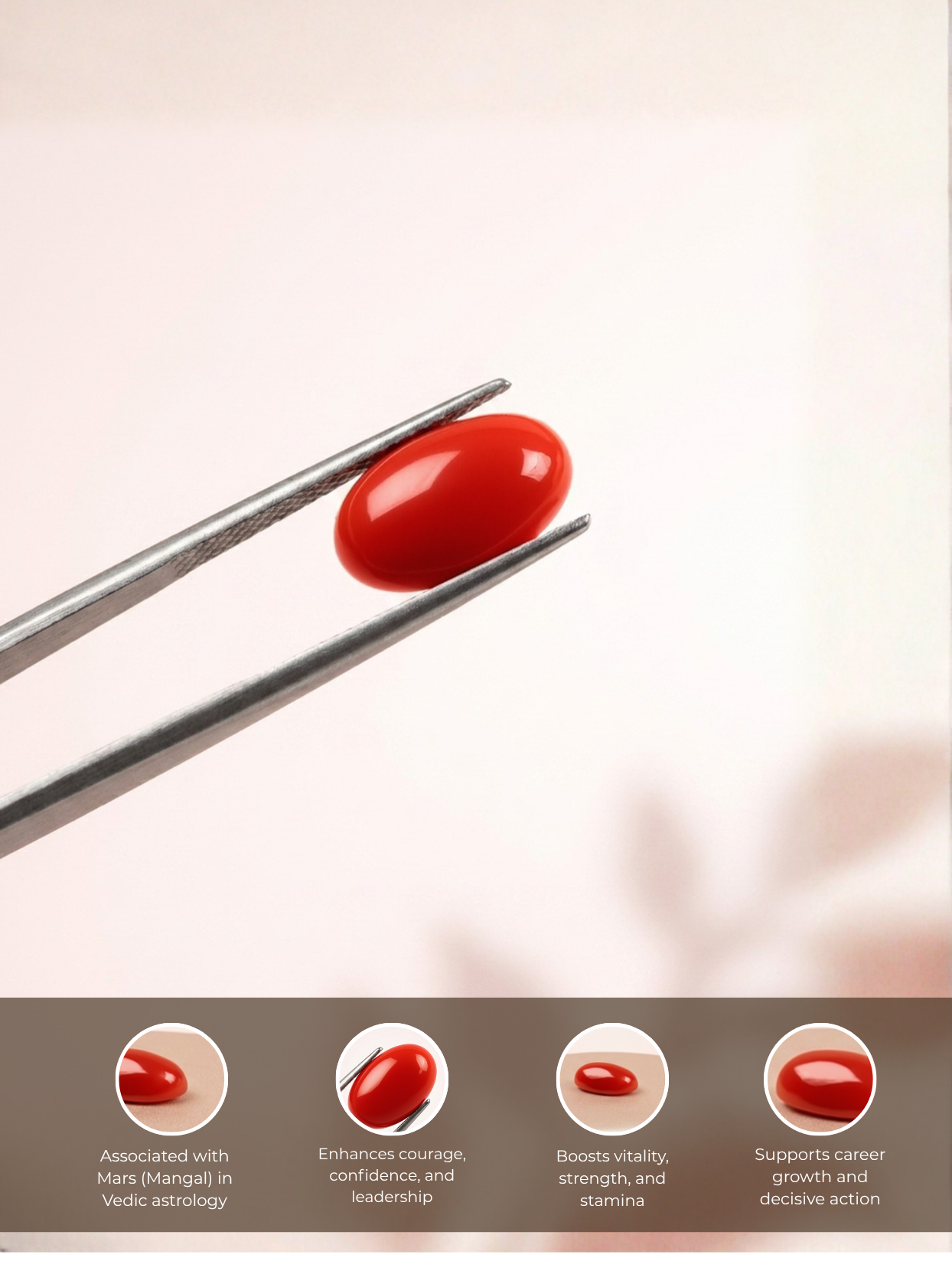 Detailed infographic view of the Mani Monk 7-carat Japanese Red Coral gemstone held in tweezers, highlighting its Vedic astrology benefits including strengthening Mars (Mangal), boosting courage, and enhancing physical vitality.