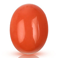 Red Japanese Coral - 9.04 Carats