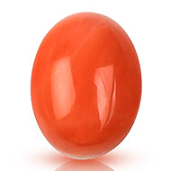 Red Japanese Coral - 9.18 Carats