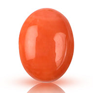 Red Japanese Coral - 5.80 Carats