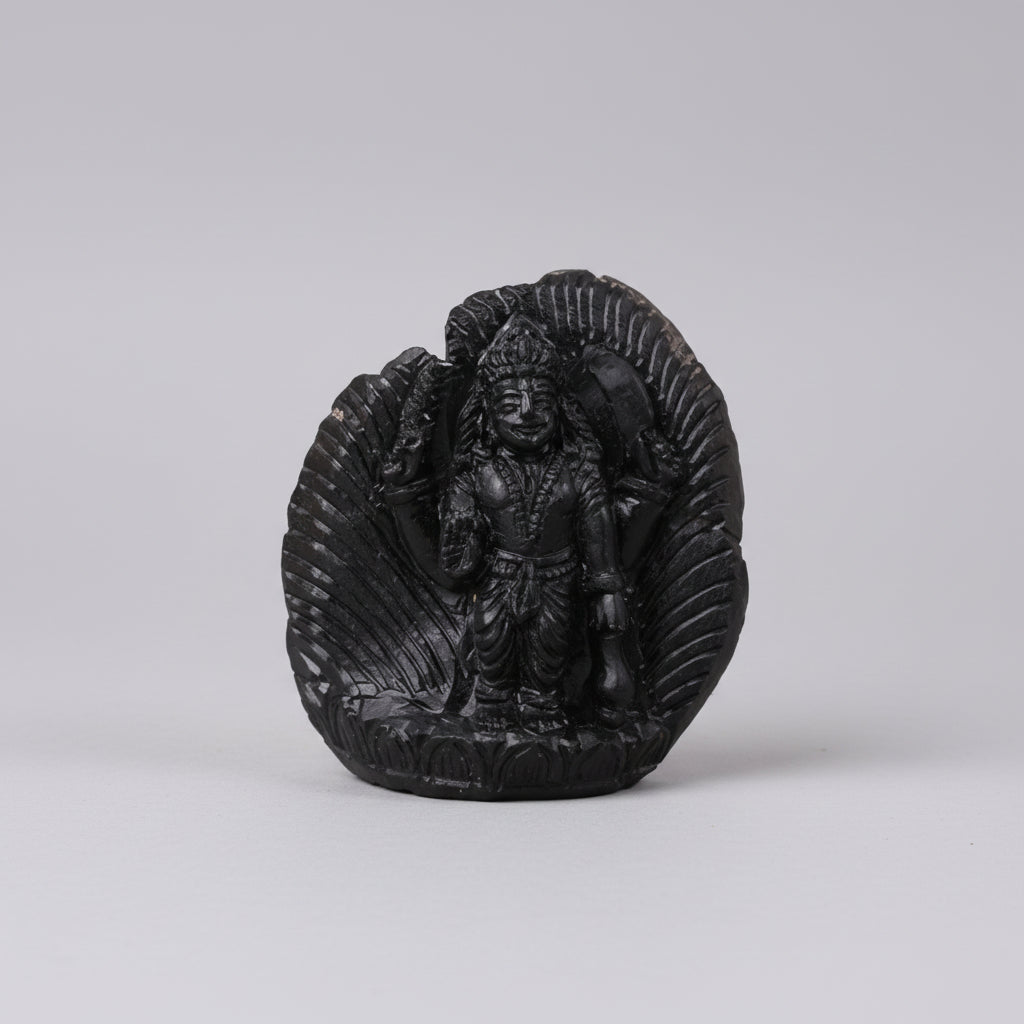 Vishnu Shaligram Murti