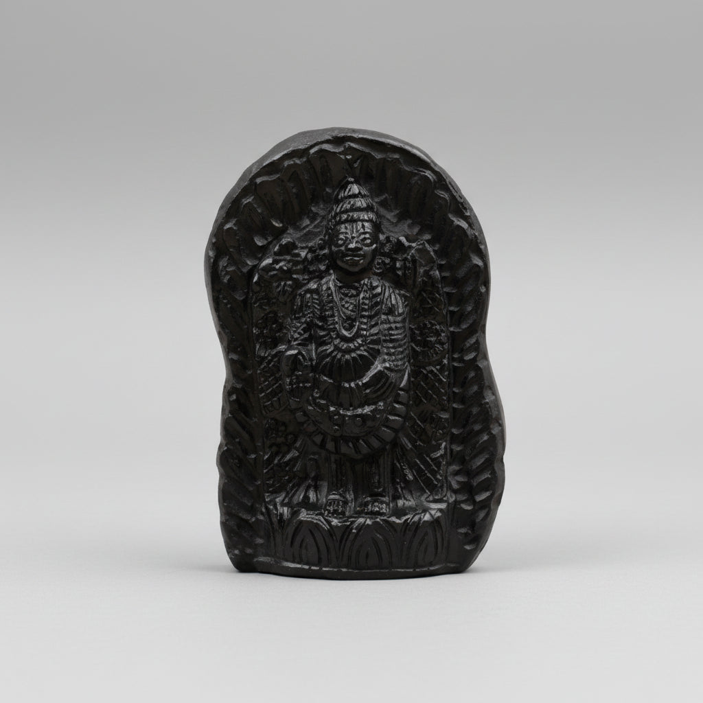 Lord Balaji Shaligram Idol