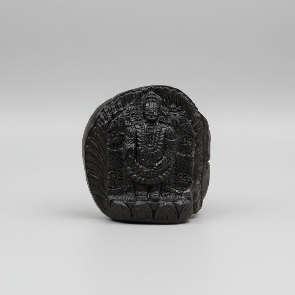 Lord Tirupati Balaji Shaligram Idol