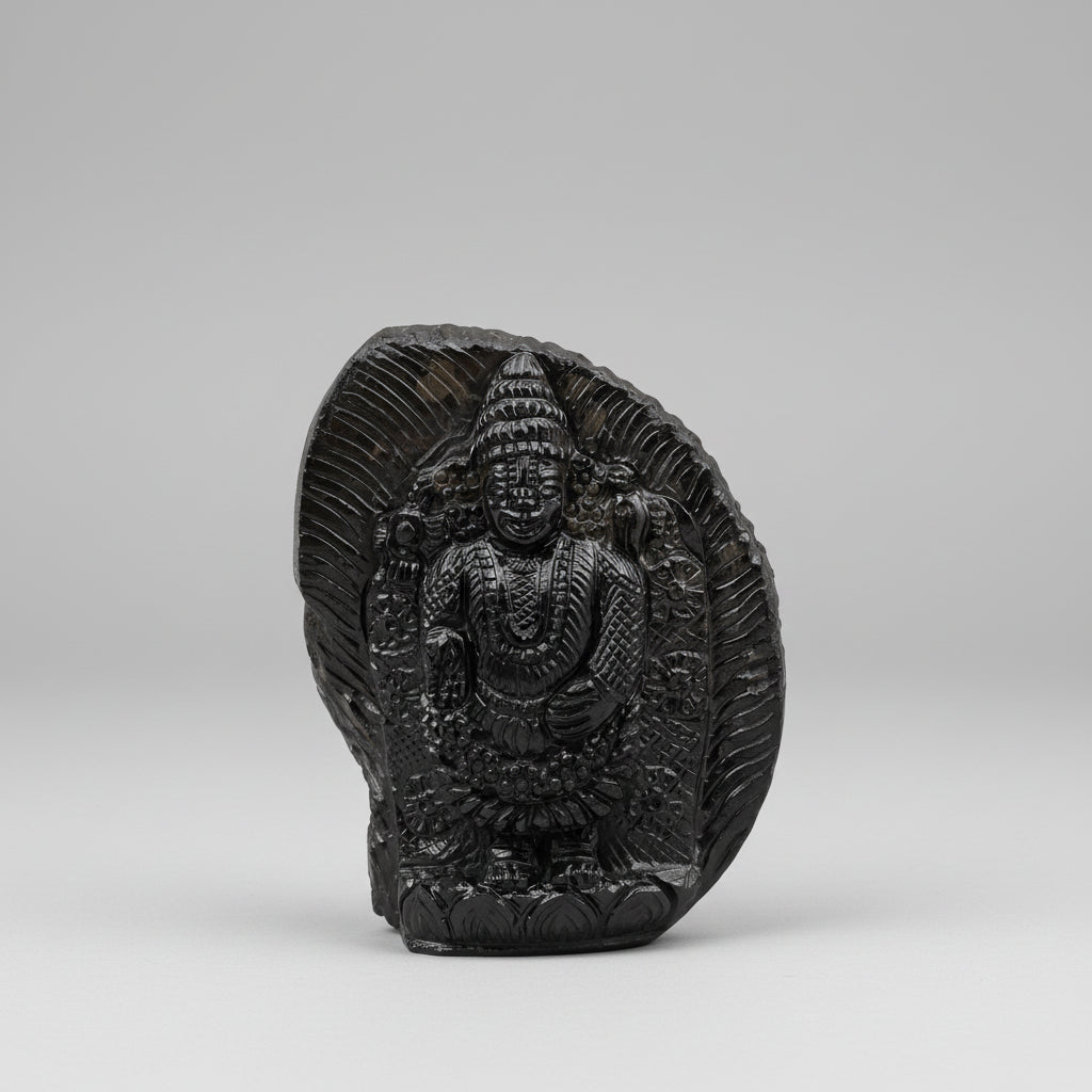 Varadaraja Tirupati Balaji Shaligram Idol