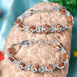 Sarva Siddha 2 Mukhi to 17 Mukhi Java-Large-Silver Basket with Steel Metal Band