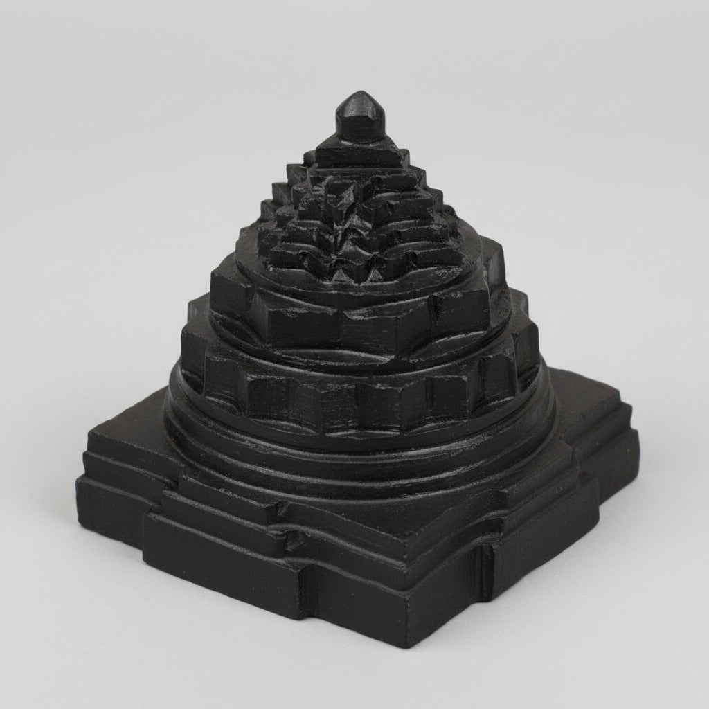 Shaligram Meru Shree Yantra - 560 gms