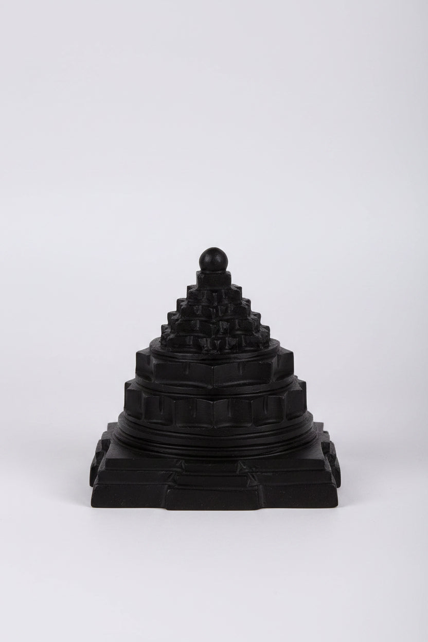 Shaligram Shree Yantra | 3.8 Inches | Natural Sacred Stone | ManiMonk