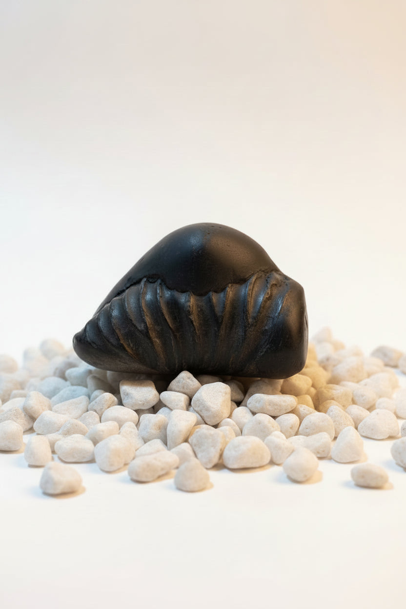 Sheshnag Shaligram Shila mani monk