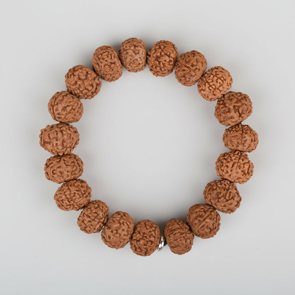 mani monk Siddh 7 Mukhi Rudraksha Bracelet | Energised for Wealth & Mahalakshmi Blessings