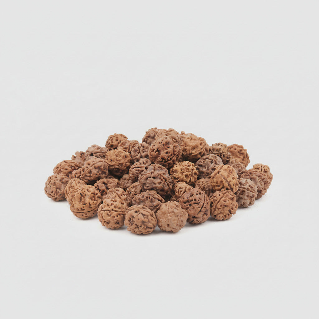 Three Mukhi Round from Nepal