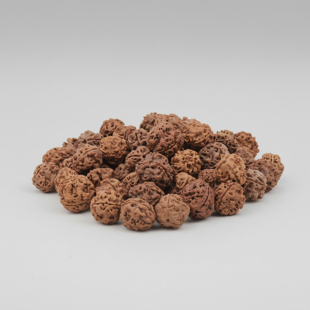 Three Mukhi Round from Nepal Small