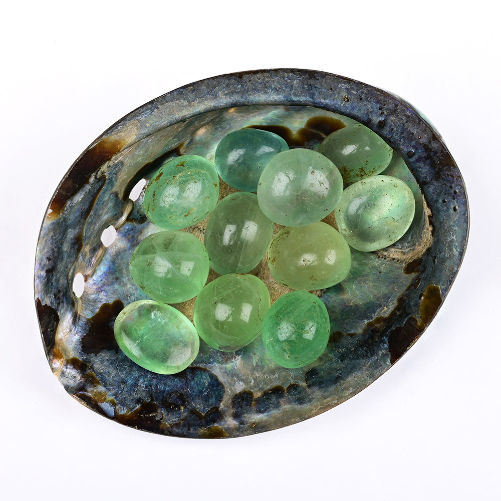 8 Directions Tumble Stone in Paua Shell-With Plate-Green Jade (North West)