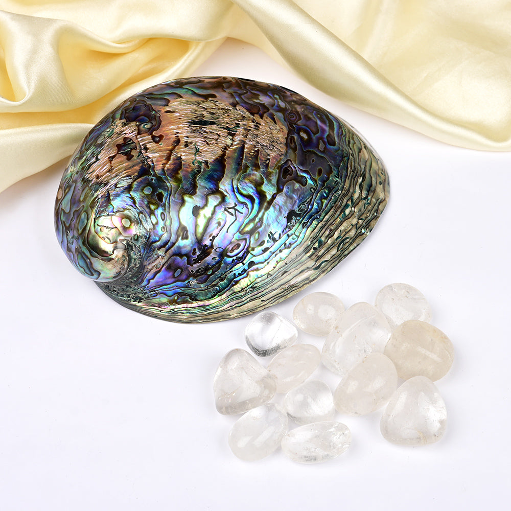 8 Directions Tumble Stone in Paua Shell-With Plate-White Quartz (North East)