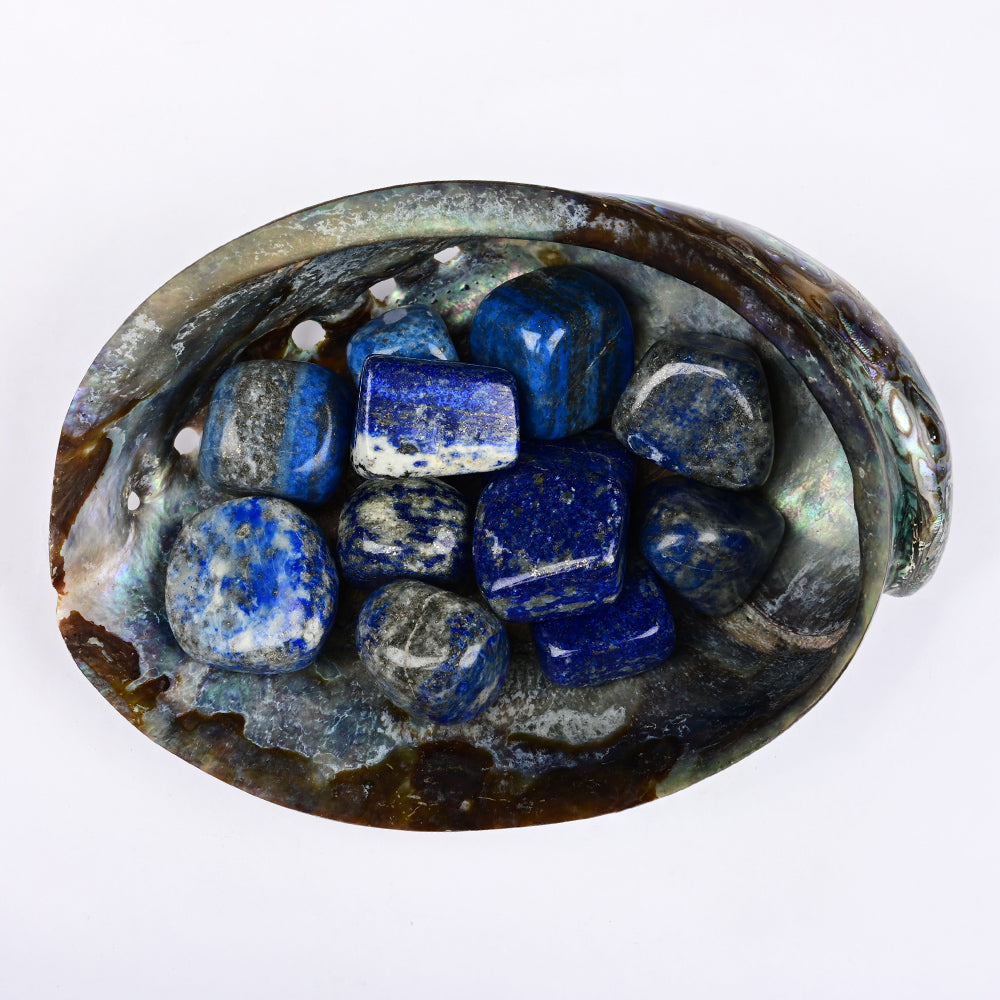 8 Directions Tumble Stone in Paua Shell-With Plate-Lapis Lazuli (North)