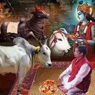 Vrash Daan / Bull Donation service