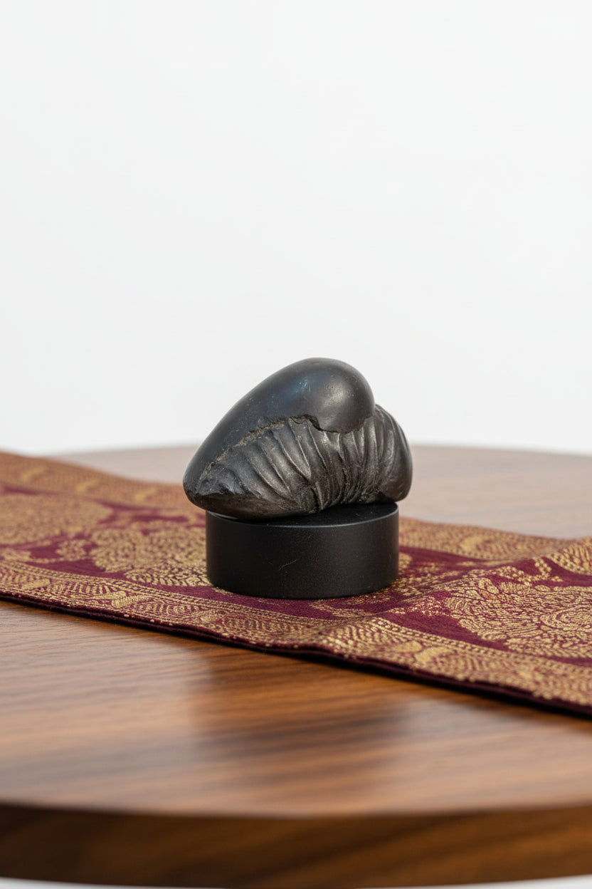 Sheshnag Shaligram Shila