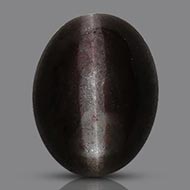 Black Cats Eye - 4.70 Carats - I