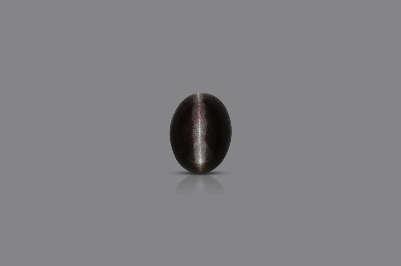 Black Cats Eye - 5.15 Carats