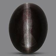 Black Cats Eye - 5.15 Carats